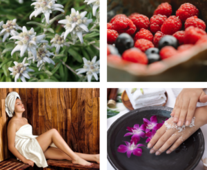 ingrédients d'europe