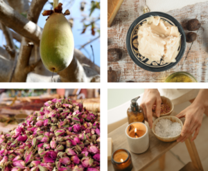 ingrédients d'afrique